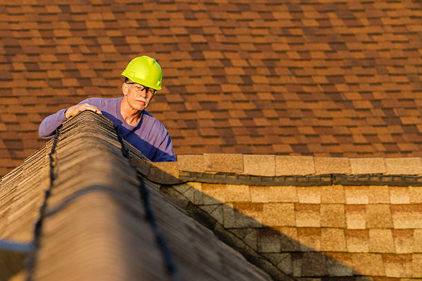 Best Roof Gutter Cleaning  in Moody, AL